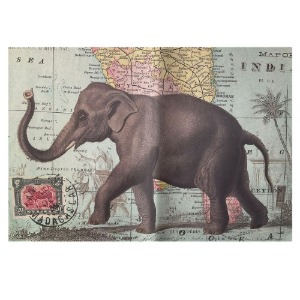 [Cavallini]카발리니 포스터 ELEPHANT
